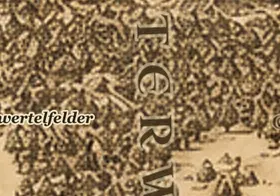 Der Düsterwald auf der Karte von Mittelerde